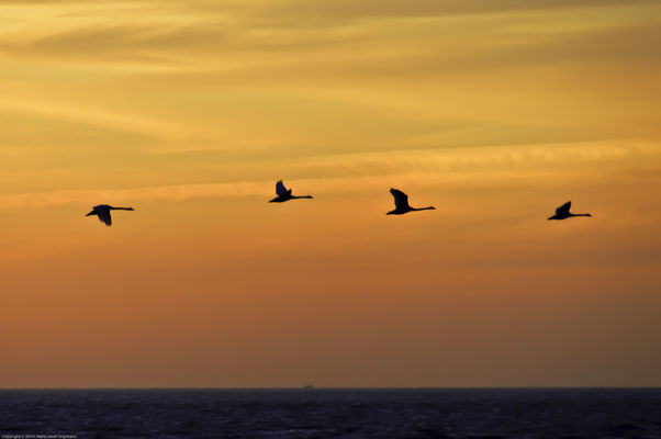 Abendstimmung am Meer