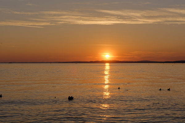 Sonnenuntergang am Bodensee