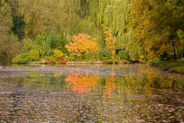 Herbstlich
