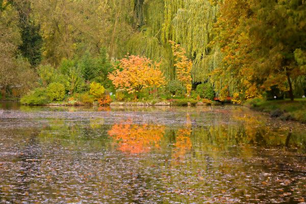 Herbstlich