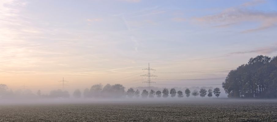 Nebel unter Hochspannung