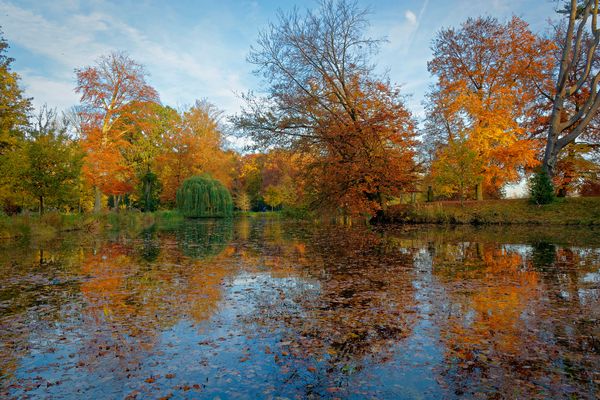 Schlosspark Rheda