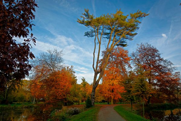 Schlosspark Rheda